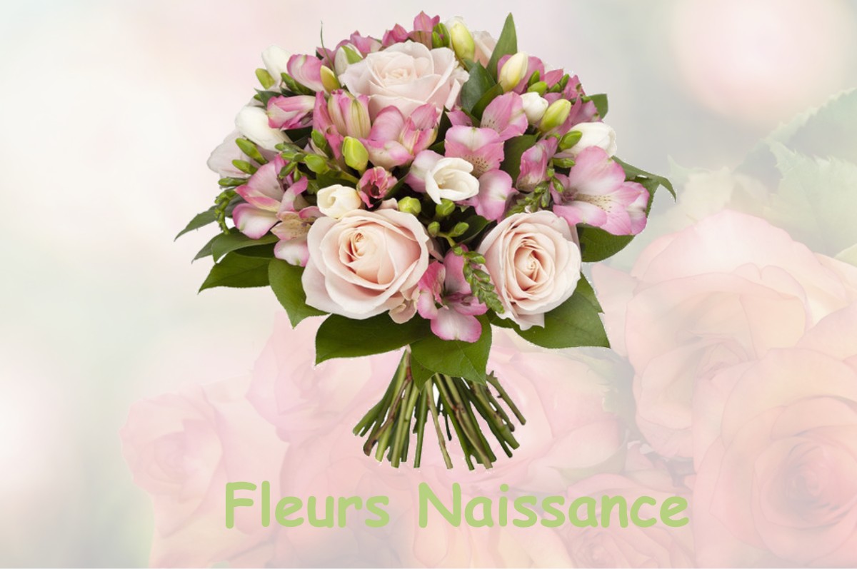 fleurs naissance FRANGY-EN-BRESSE