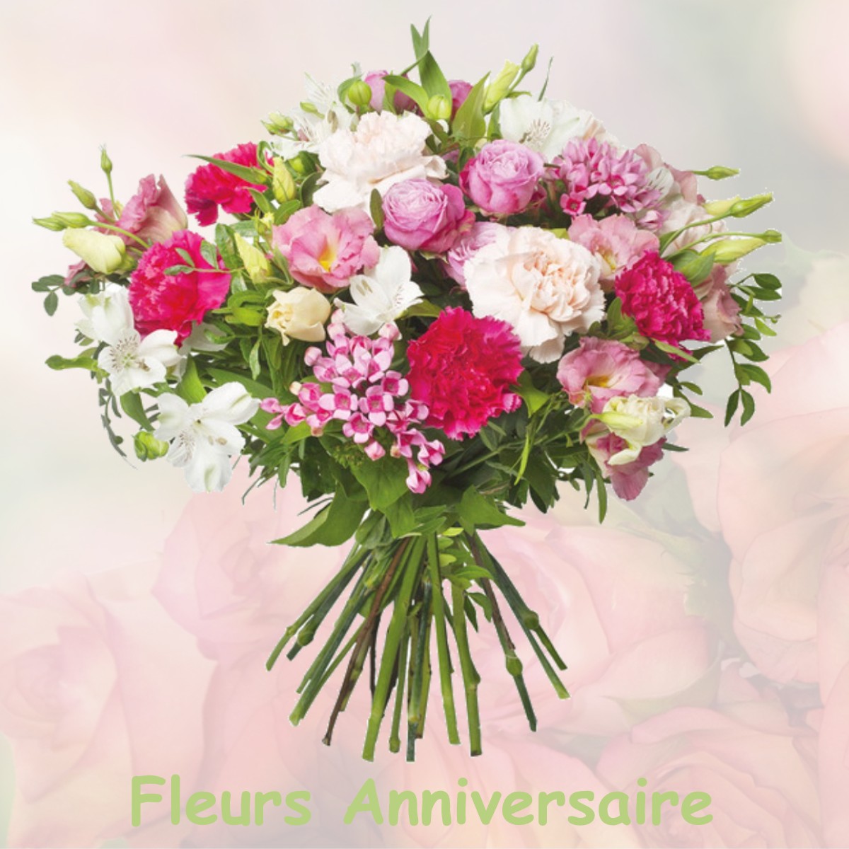 fleurs anniversaire FRANGY-EN-BRESSE